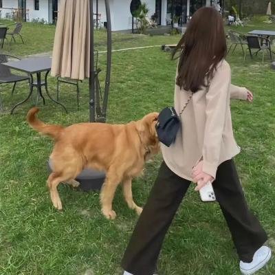 爱欲中的夏威夷